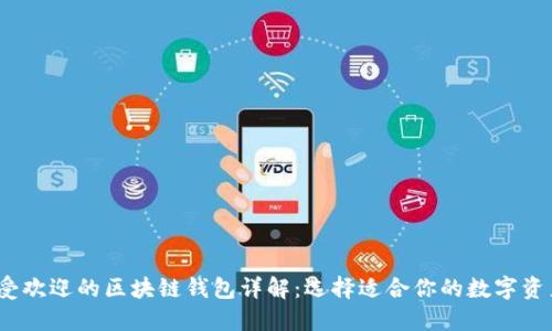 2023年最受欢迎的区块链钱包详解：选择适合你的数字资产保护工具
